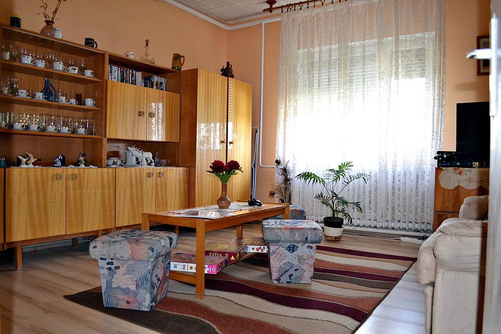 Ferenc Wellnes Apartment Csajág エクステリア 写真